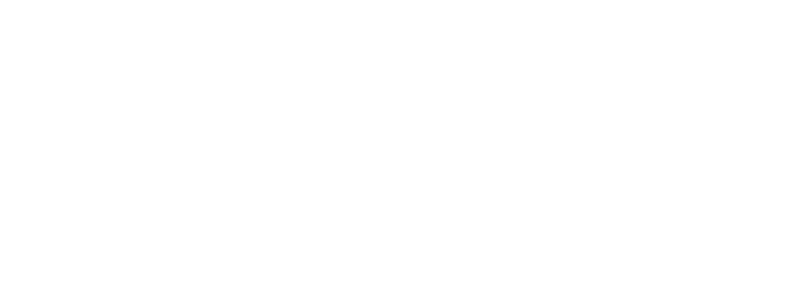 Noble Brave Footer Logo